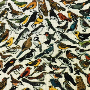 Mini Cross Stitch Patterns PDF Instant Download, One Nighters 85 Backyard Birds DIGITAL pattern for embroidery and needlepoint