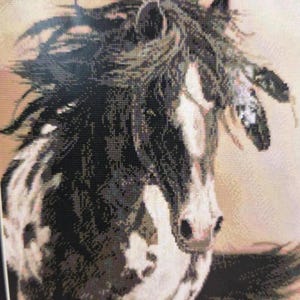 Freedom For All Native American horse with feathers cross stitch-PATTERN ONLY