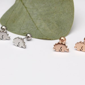 Dinosaur earrings stegosaurus dinosaur piercing earrings screw back dino earrings dino jewelry hedgehog earrings 20G Dino earrings