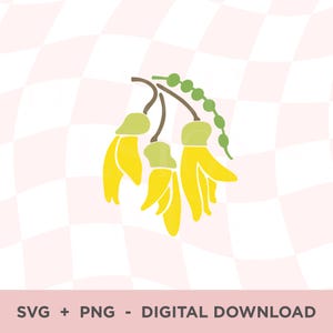 Flor Kowhai SVG, Kiwiana de Nueva Zelanda, Fauna de Nueva Zelanda PNG, Árbol Kōwhai Amarillo Clipart, Silueta de Flores de Nueva Zelanda Cricut, Flor Nativa Amarilla