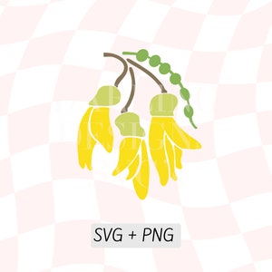 Kowhai Flower SVG, Kiwiana z Nowej Zelandii, Fauna Nz PNG, Żółty Kōwhai Tree Clipart, Sylwetka kwiatów Nz Cricut, Żółty rodzimy kwiat