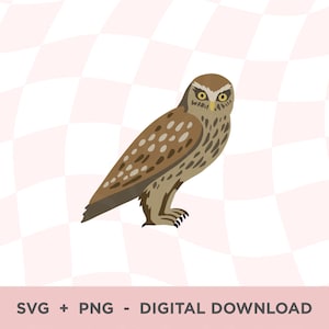 NZ Ruru Bird Layered SVG, New Zealand Morepork PNG, Owl Cipart,Layered Owl Svg, New Zealand Birds, Native Owl, Cute Owl Outline