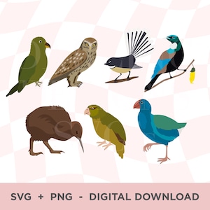 Layered Bird SVG, New Zealand Bird PNG, Colourful Bird Art, New Zealand Birds SVG Bundle, Native Nz Birds, Tui, Takahe, Kiwi, Ruru, Fantail