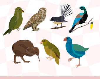 Layered Bird SVG, New Zealand Bird PNG, Colourful Bird Art, New Zealand Birds SVG Bundle, Native Nz Birds, Tui, Takahe, Kiwi, Ruru, Fantail
