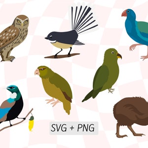 SVG de pássaros em camadas, PNG de pássaros da Nova Zelândia, arte colorida de pássaros, pacote SVG de pássaros da Nova Zelândia, pássaros nativos da Nova Zelândia, Tui, Takahe, Kiwi, Ruru, Fantail