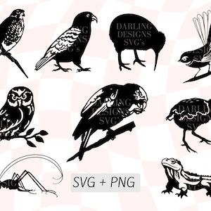Paquete SVG de aves de Nueva Zelanda, Aves nativas de Nueva Zelanda Svg, Vida silvestre de Nueva Zelanda, Naturaleza de Nueva Zelanda, Ruru, Weta, Tuatara, Kiwi, Kakapo, Kiwiana PNG, Nz Clipart