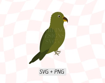 Layered Kea SVG, New Zealand Kea PNG, Colourful Bird Design, New Zealand Birds SVG, Native Bird, Green Parrot Bird Art
