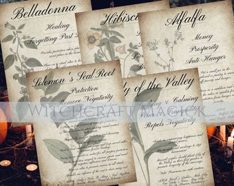 Set of 5 Pages - Book of Shadows | bos | Grimoire | Magic Spellbook | Wicca - Kitchen | Digital Printable Spells - Green Witch Herbal - PDF