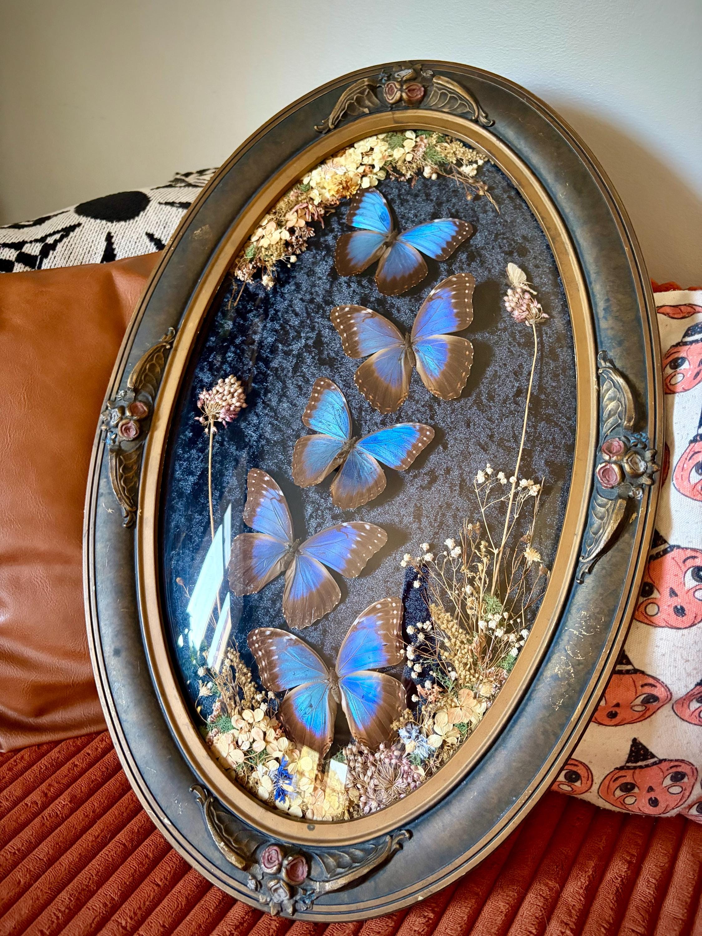 Vintage Bubble Glass Butterfly - Etsy