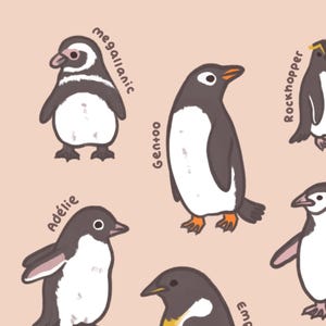 May include: Illustration of various penguin species, including Magellanic, Gentoo, Ad&eacute;lie, and Rockhopper penguins, against a light peach background. Each penguin is depicted in a cartoon style with its name labeled. The penguins are in shades of black, white, and gray.