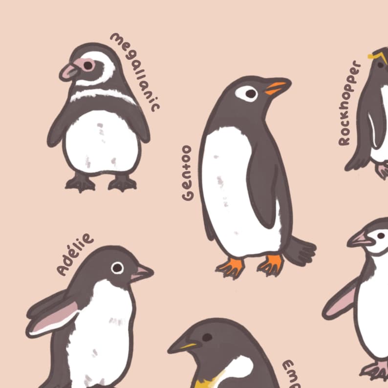 May include: Illustration of various penguin species, including Magellanic, Gentoo, Ad&eacute;lie, and Rockhopper penguins, against a light peach background. Each penguin is depicted in a cartoon style with its name labeled. The penguins are in shades of black, white, and gray.