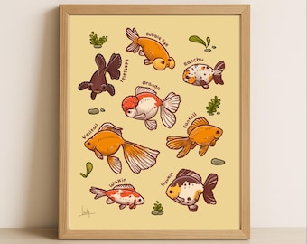 Cute Fancy Goldfish Breeds Giclee Art Print, 8x10, Wall Decor, Gold Varieties Art