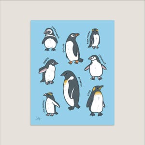 May include: A light blue print featuring illustrations of various penguin species, including Ad&eacute;lie, Emperor, and King penguins. Each penguin is labeled with its name in a playful, cartoon style. The artwork is set against a light blue background.