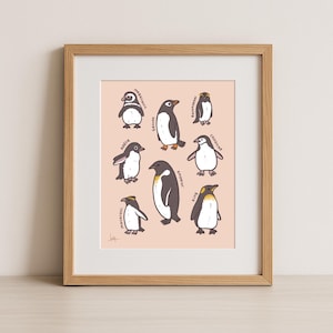 Cute Penguin Species of Antarctica Giclee Art Print, 8x10, Wall Decor, Animal Art, Pink, Blue
