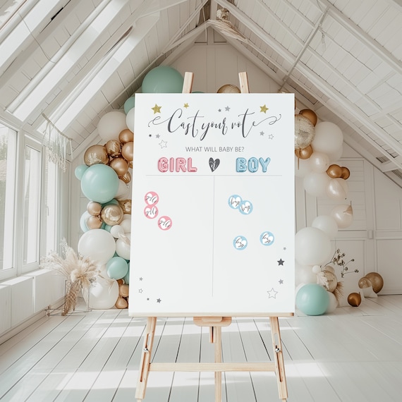 Libro Degli Ospiti Alternativo Per Baby Shower – Disco In Vinile Con Penne Rosa E Blu – Gioco Per Scoprire Il Sesso Del Bambino