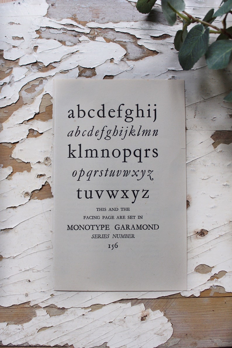 Small Alphabettypography book plates