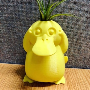 May include: A yellow duck-shaped planter with a small air plant growing out of the top. The planter has a cartoonish face with large eyes and a wide beak.