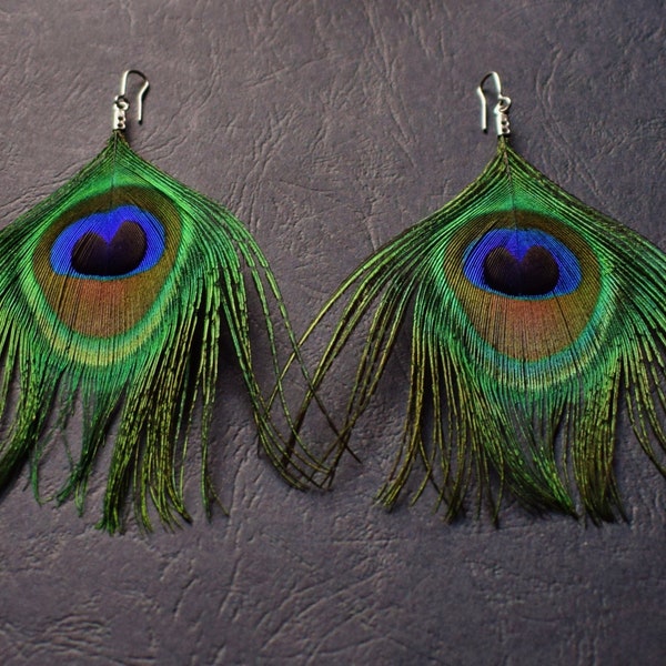 Boucles d'oreilles plumes de paon naturelles et Acier chirurgical/ Hypoallergéniques/ BO Plumes imposantes vertes bleues noires or/ Unique