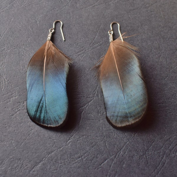 Boucles d'oreilles en plumes de faisan reflets bleus et Acier chirurgical/ BO plumes naturelles hypoallergéniques/ Faites main, unique