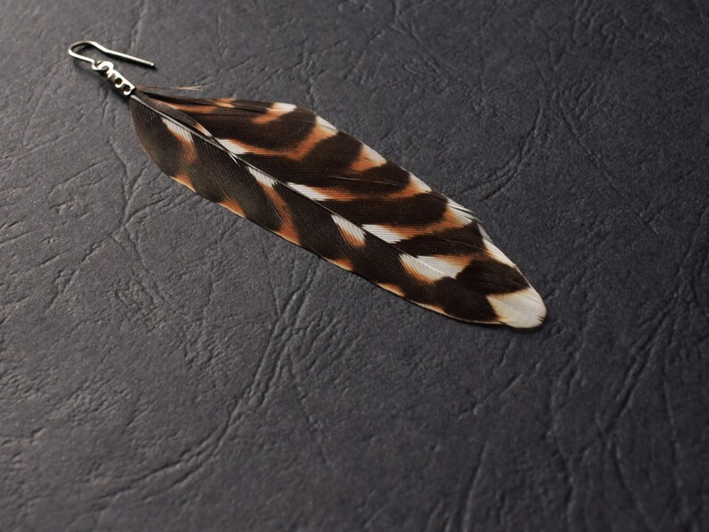 Earrings in natural pheasant hen feathers and surgical steel unique handmade BO feathers black and brown patterns