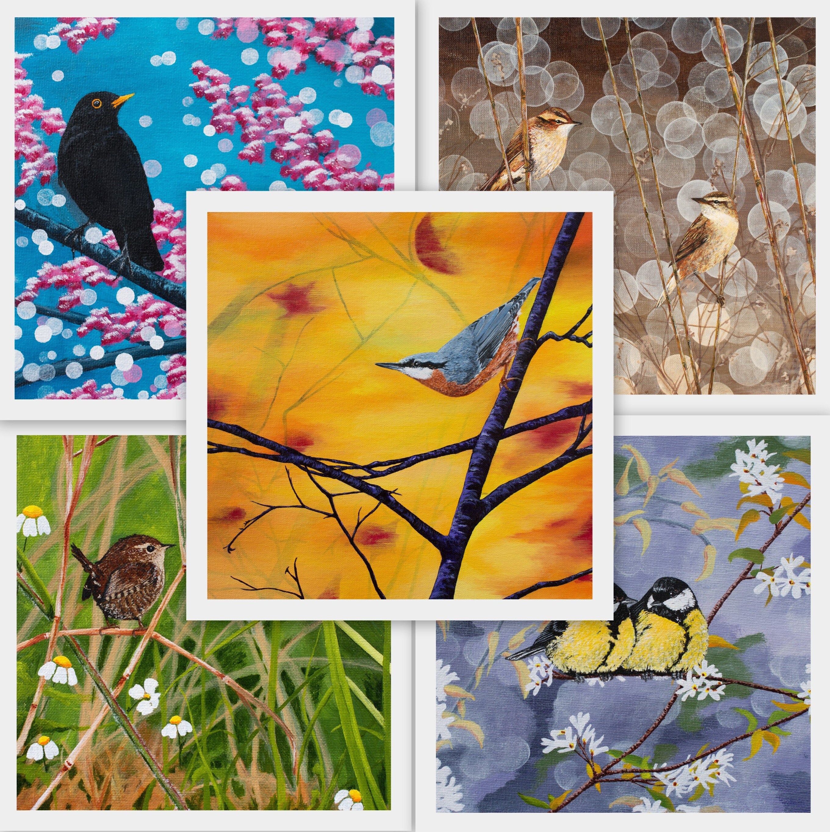 5 Card Selection Pack Most Popular Cards Greeting Cards Blank Cards