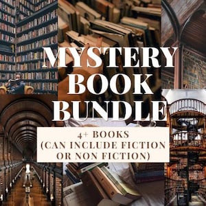 Mystery Book Bundle Blind Date With A Book Mystery Box Mystery Bundle 4+ Books
