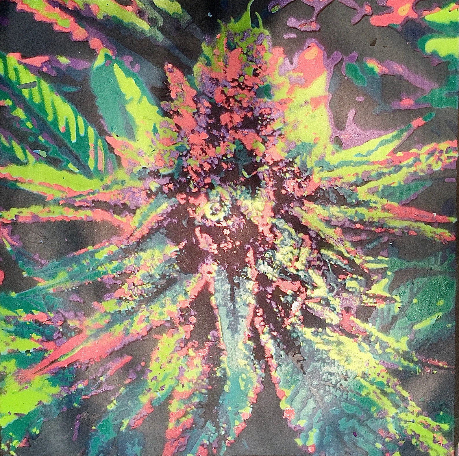 Cannabis Spray Painting Etsy