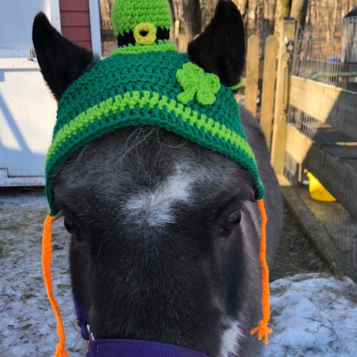 Horse Horse Leprechaun Hat Horse Clothing Etsy