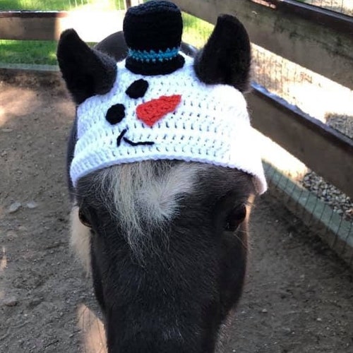 Horse Horse Snowman Hat Horse Clothing Snowman Etsy