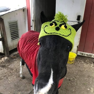 Horse Bonnet - Horse Grouch Hat - Horse Clothing - Grouch Hat - Equestrian Gift - Winter Horse Bonnet