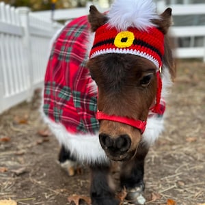 Pony Costume Mare Ladybug Miniature Horse Sheet Miniature Horse