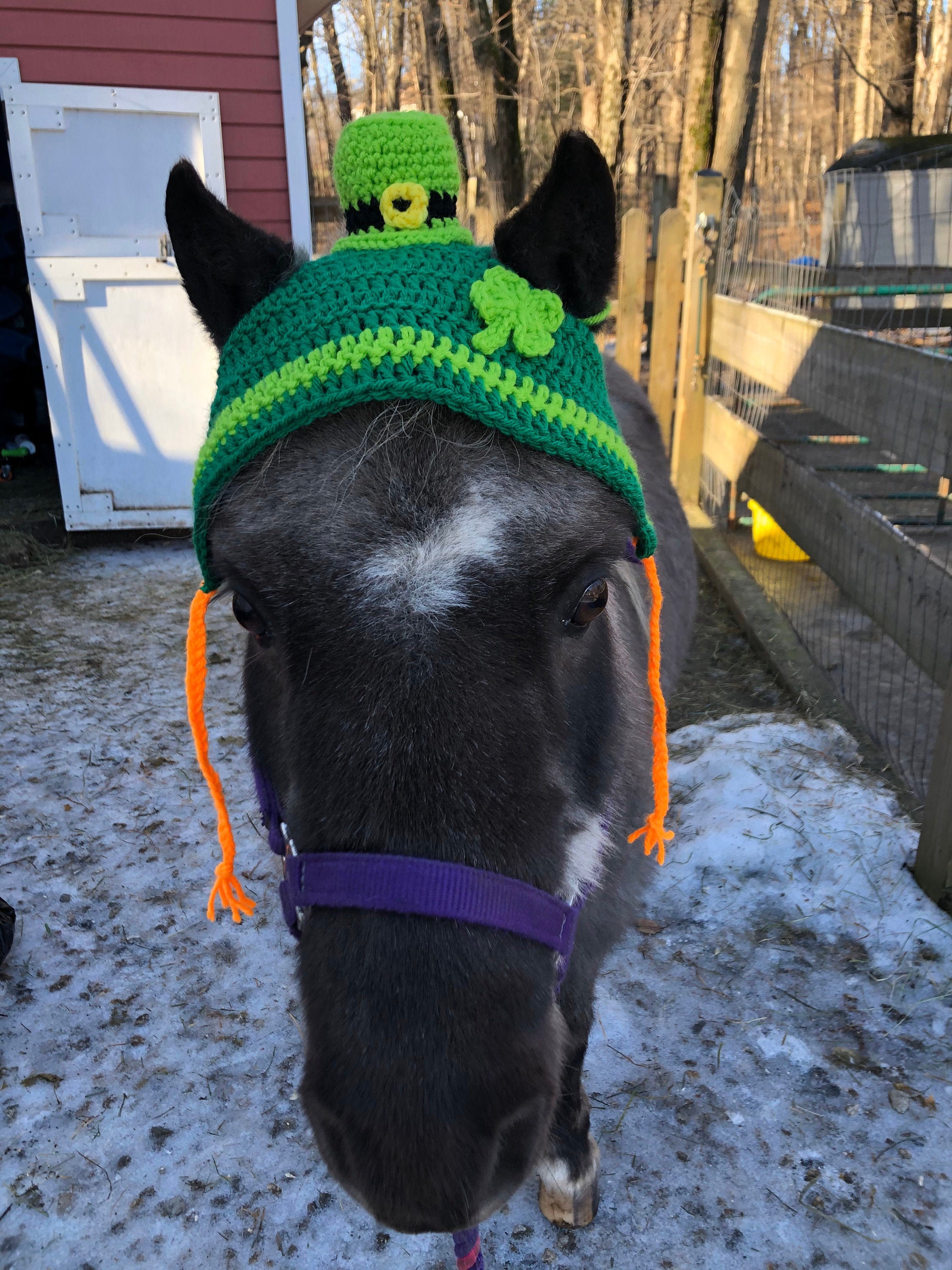 Horse Horse Leprechaun Hat Horse Clothing Etsy