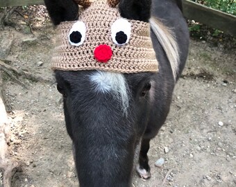 Horse Bonnet Horse Reindeer Hat Horse 