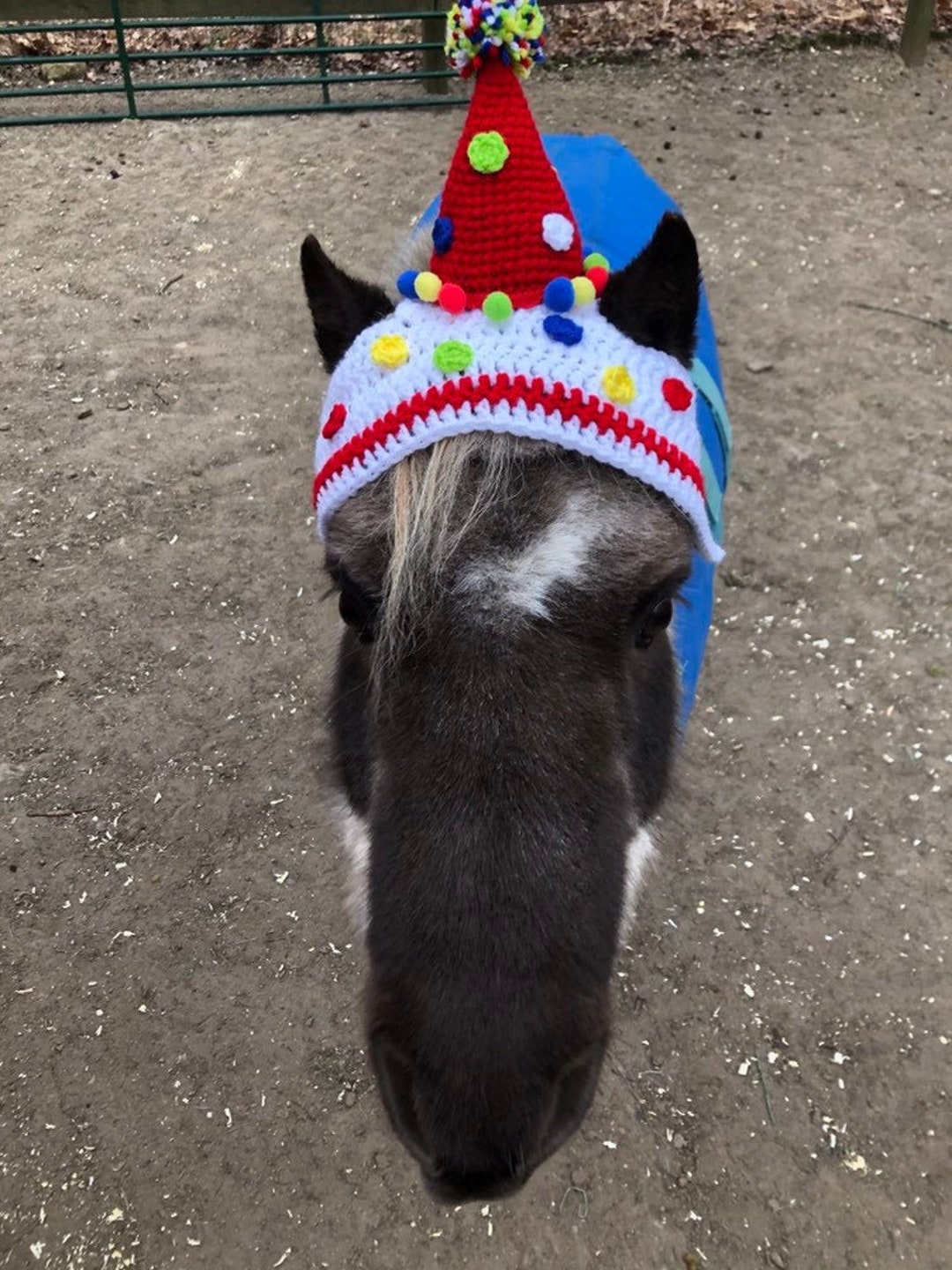 Horse Bonnet Horse Party Hat Horse Birthday Hat Party Hat Horse Fly