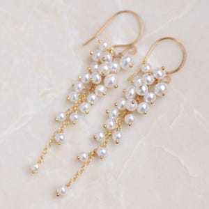 Può includere: Un paio di orecchini color oro con grappoli di piccole perle bianche. Gli orecchini hanno un design a cascata, con le perle appese a delicate catene e ganci dorati. Le perle sono rotonde e hanno una finitura lucida.