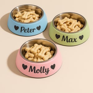 Personalized Pet Water Bowl Stainless Steel Pet Bowl Feeding Supplies Gift for Pet Lovers