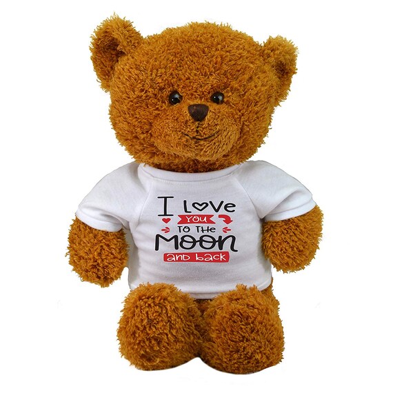 i love you to the moon and back teddy bear