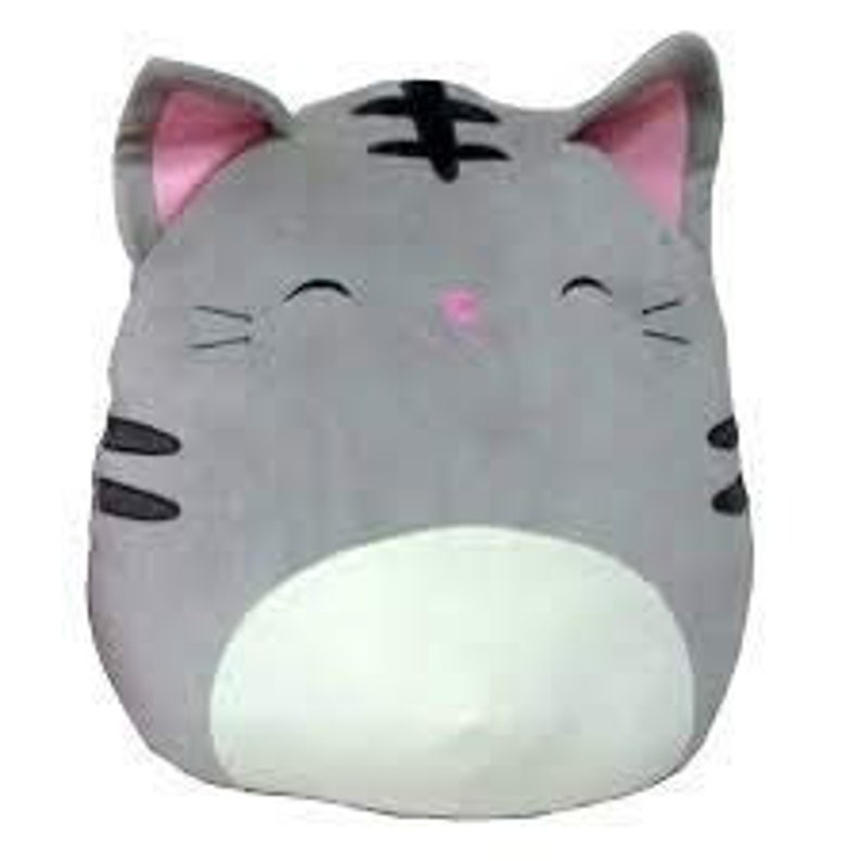 squishmallow sam 16