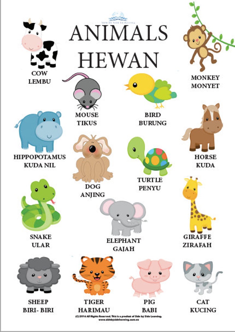 English/Bahasa Indonesia Poster Pack Numbers Animals Etsy