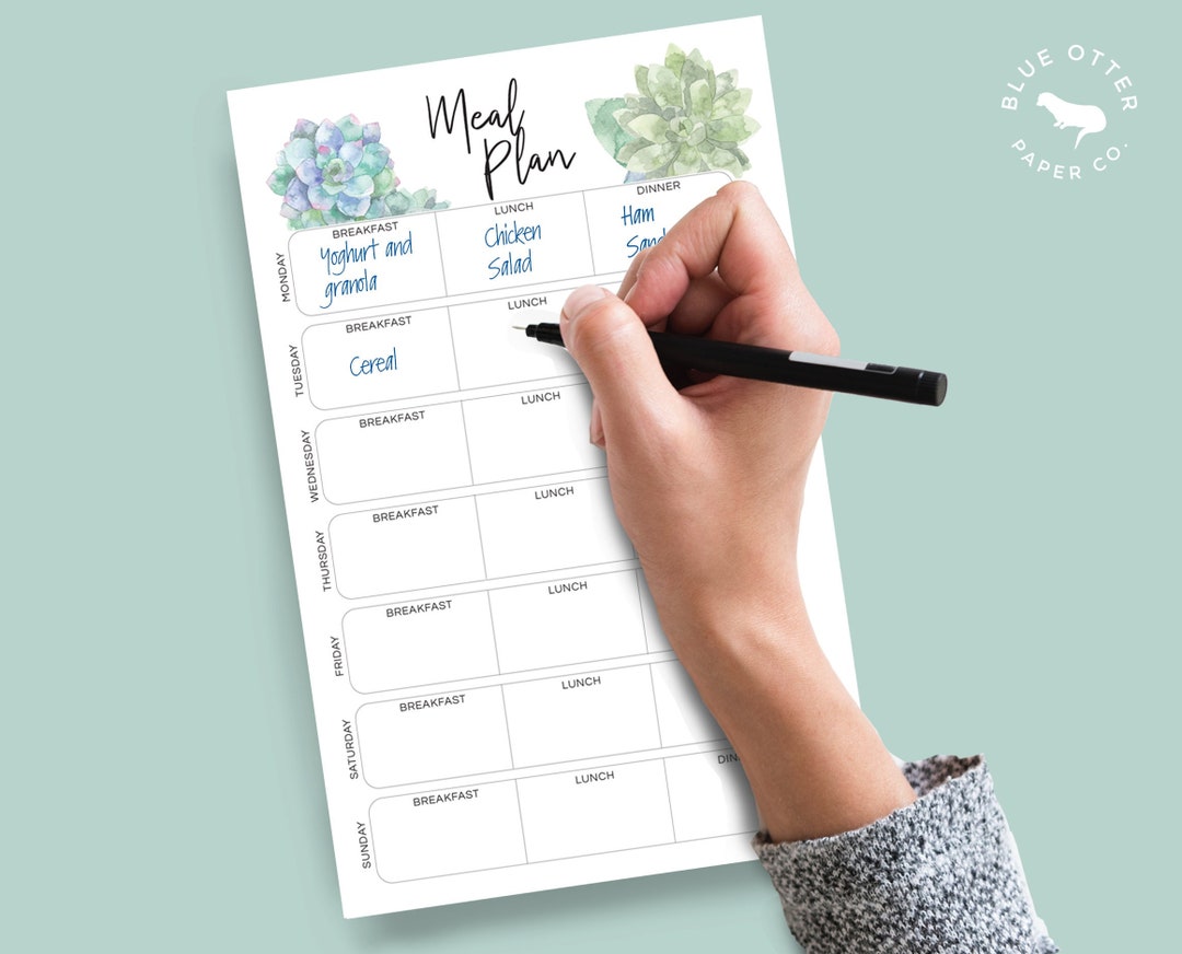 Half Letter Printable A5 Meal Plan Shopping List Agenda Insert Refill ...