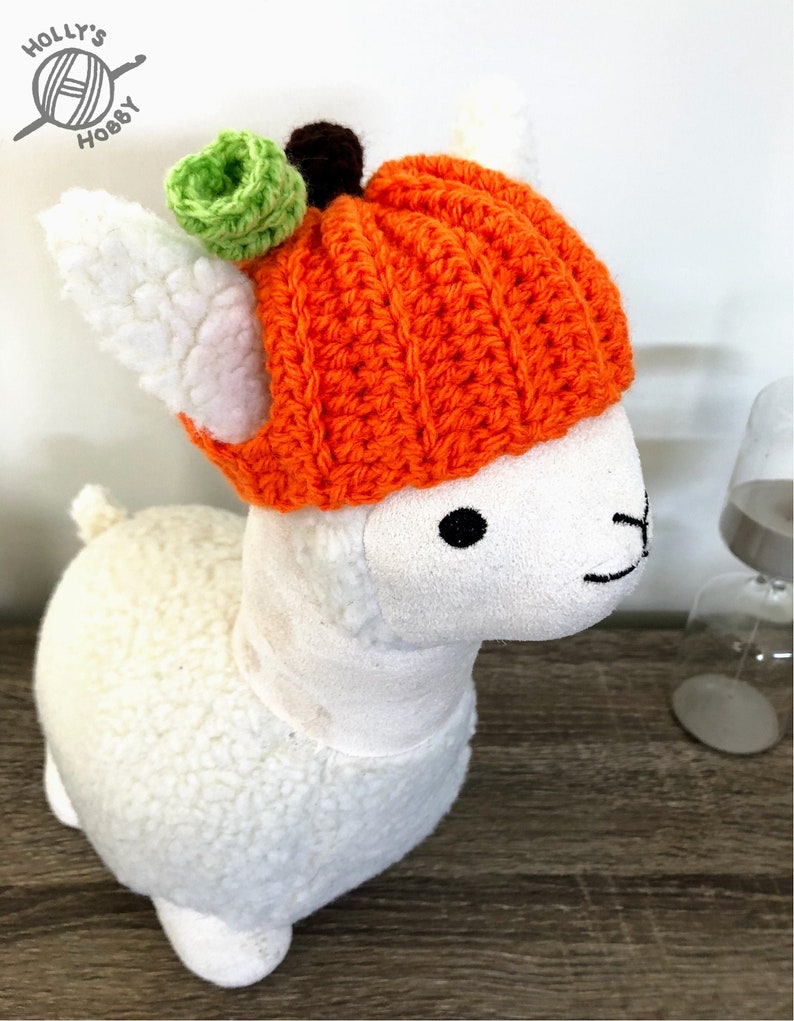 Crochet pumpkin hat for cat/small dog halloween handmade super cute cat costume image 1