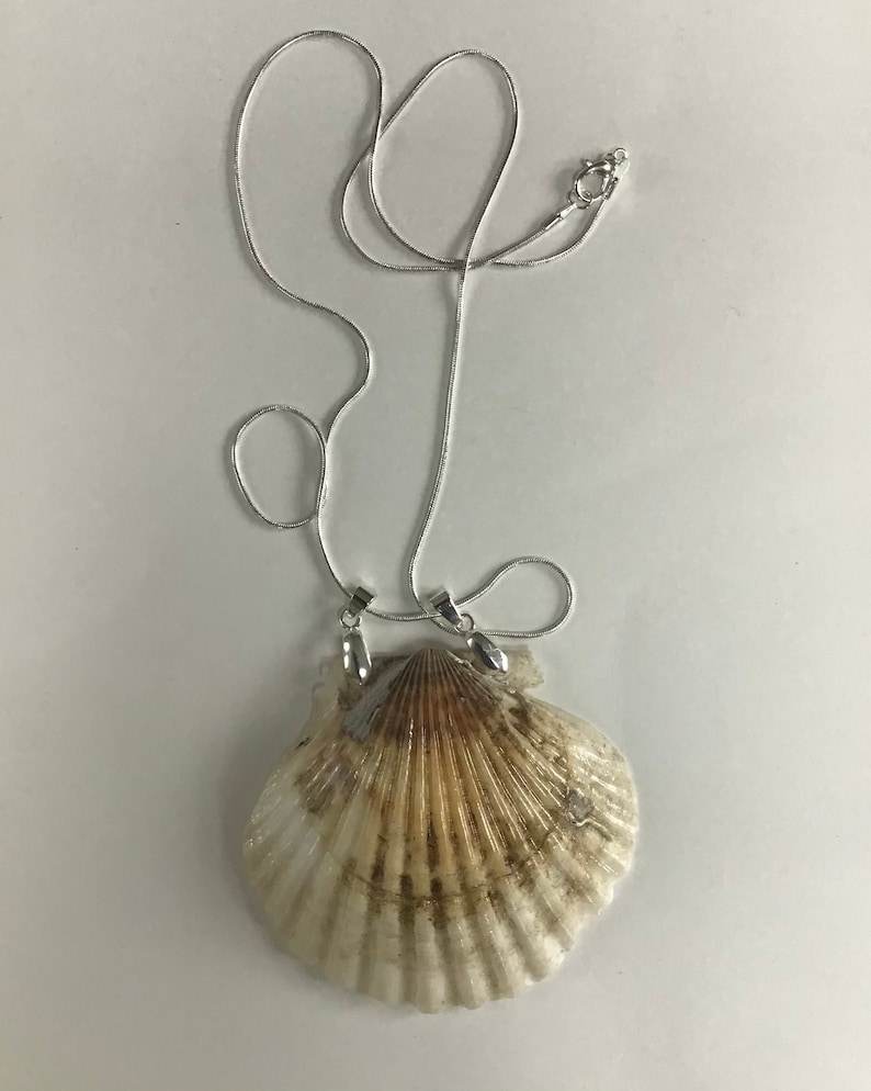 Large scallop shell necklaces.