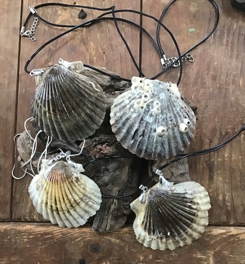 Large scallop shell necklaces.