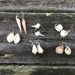 Florida shell earrings.