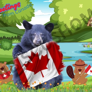 Colombie-Britannique Carte postale ours noir, numérique, Canada, Colombie-Britannique parfaite Carte postale d'un jour, Scène parfaite, Carte postale imprimable, Message d'accueil numérique instantané, Papeterie