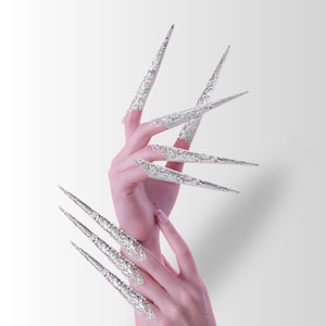 May include: A set of ten silver-toned metal nail extensions featuring an intricate, filigree-style cutout pattern. These pointed, claw-like accessories cover the entire length of each finger, extending well beyond the natural nail tips.
