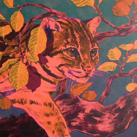 The Iriomote Cat - A4 Illustration Art Print on 100