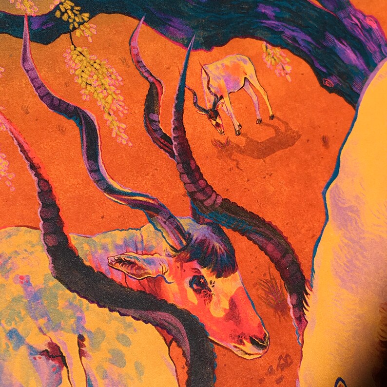 The Addax A4 Illustration Art Print on 100% Recycled Paper - Etsy