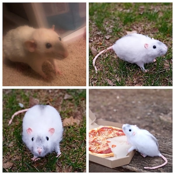 Realistic rat replica Custom pet stuffed animal mouse looks like your realistic Rat portrait Plush Guinea Pig White Mouse Loss Keepsake gift