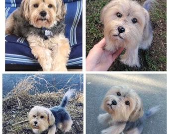 morkie stuffed animal